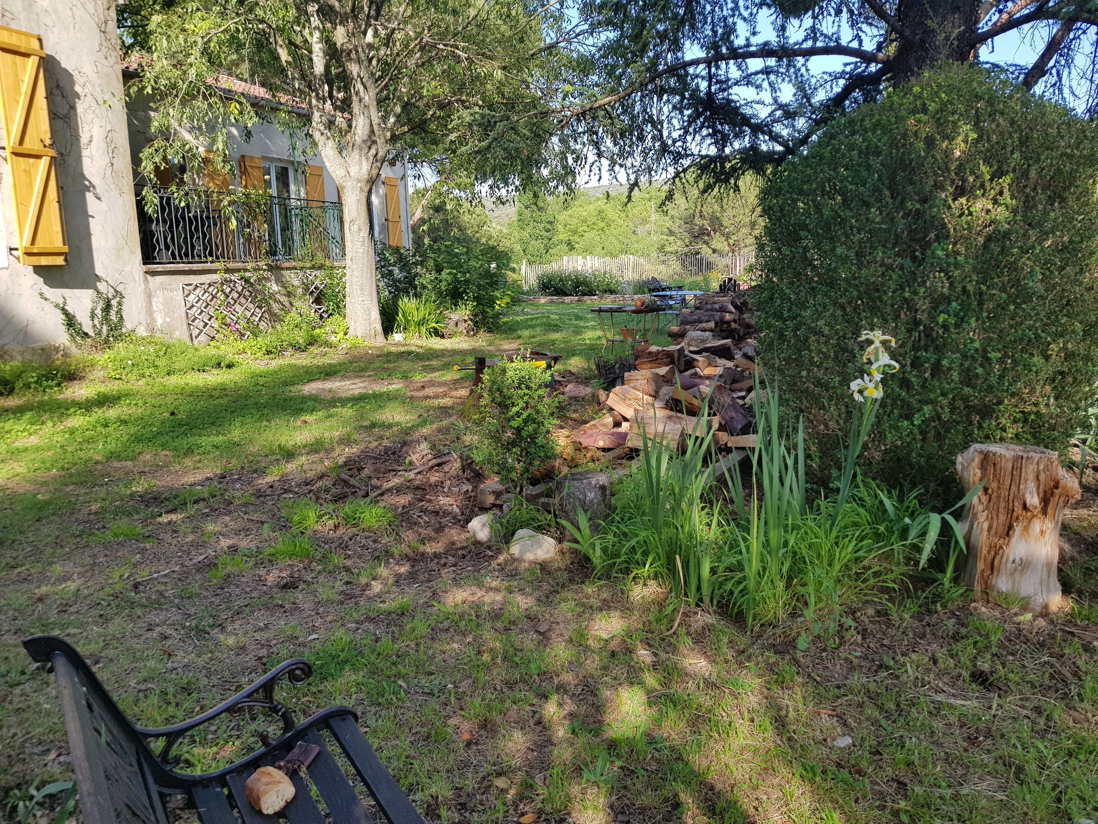 A garden with a bench, a tree, and a stone wall.