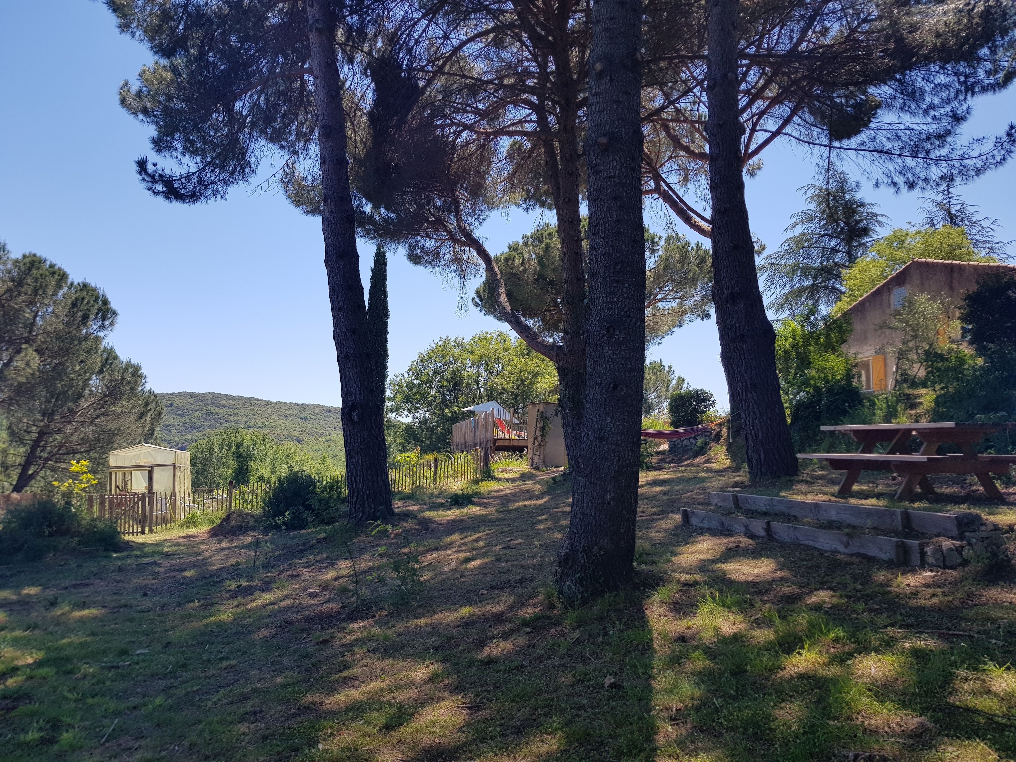 A rustic outdoor setting with a wooden structure, picnic table, and a small shed.