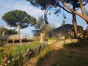 Terrein van de accommodatie