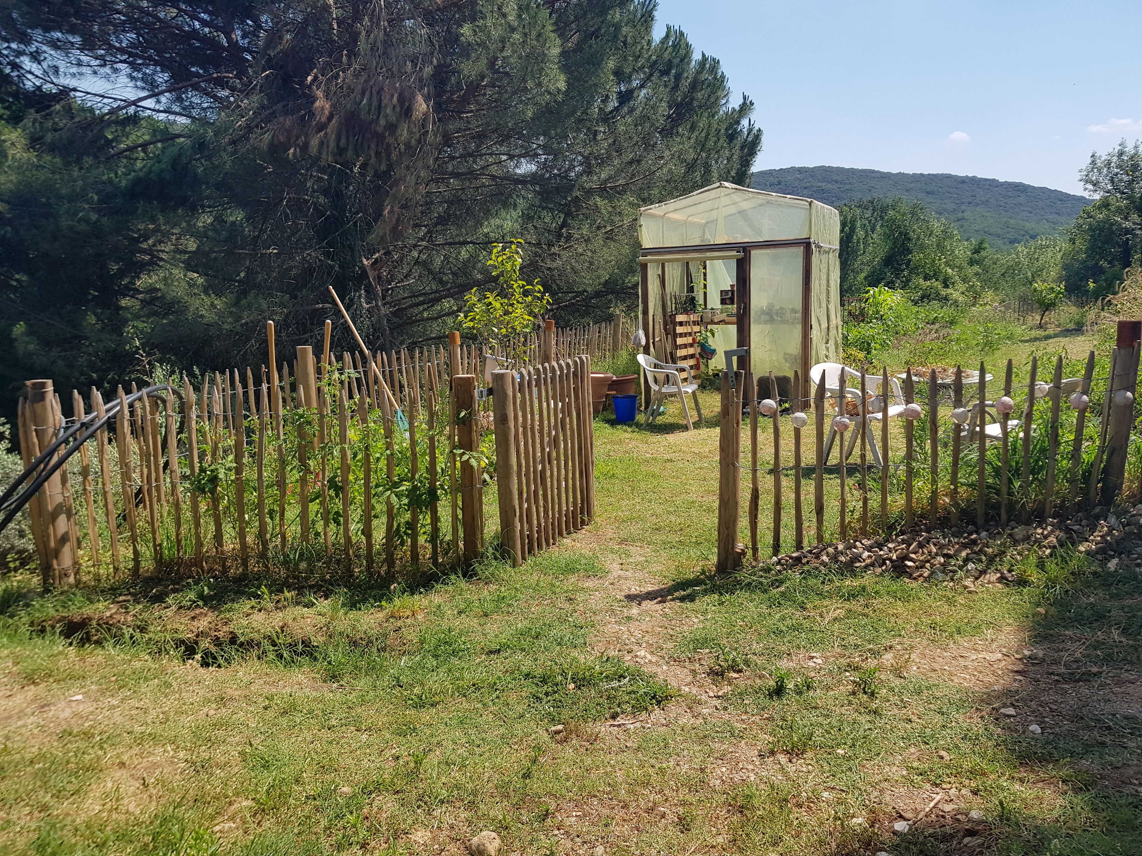 A rustic wooden fence enclosing a garden area with a small shed and outdoor seating.