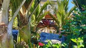 A lush garden with various tropical plants, including a large palm tree and a banana plant. -  Comfort and relaxation at Kawau Bay Beach House.  (Snells Beach)