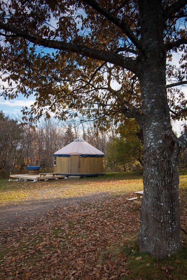A yurt with a conical roof, surrounded by a wooden deck and a hot tub, set in a wooded area with fallen leaves. - The Cedar Yurt at Cabot Shores Wilderness Resort (Englishtown)