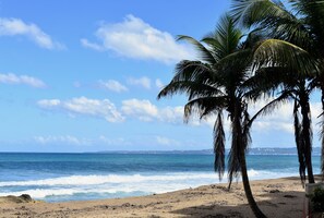 A beach with palm trees and the ocean. - ★ Ocean Loft - Huge corner loft “Place to be” in Puntas - Steps to Sandy Beach ★ (Rincon)