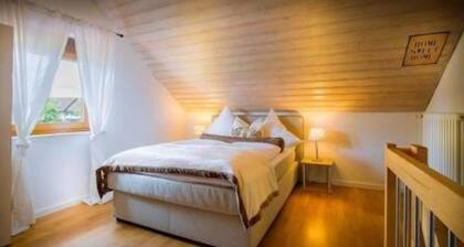 Swiss Style Apartment at Europapark