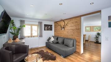 Fernseher, DVD-Player, BĂŒcher, Musikbibliothek