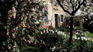 A garden with flowering trees and a building with blue shutters. - La Foyère (Aime-la-Plagne)