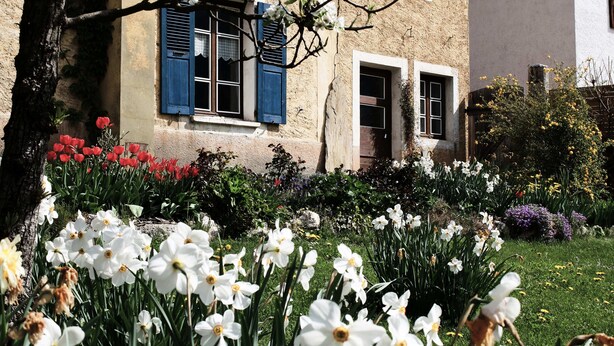 A building with blue shutters, a garden with white and red flowers, and a tree. - La Foyère (Aime-la-Plagne)