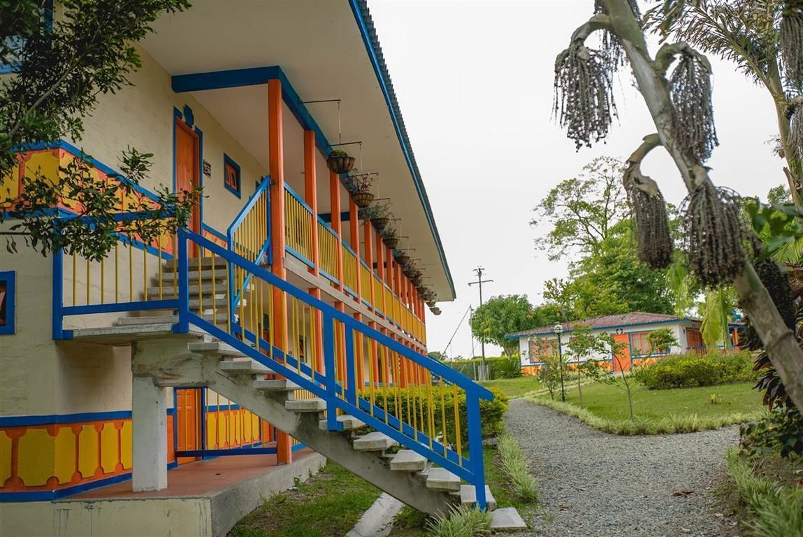 A building with a staircase leading to a porch with hanging plants.