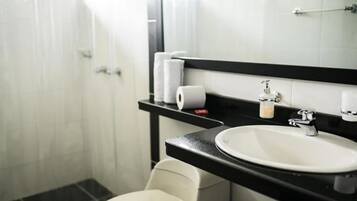 Regadera, toallas, jabón, papel de baño