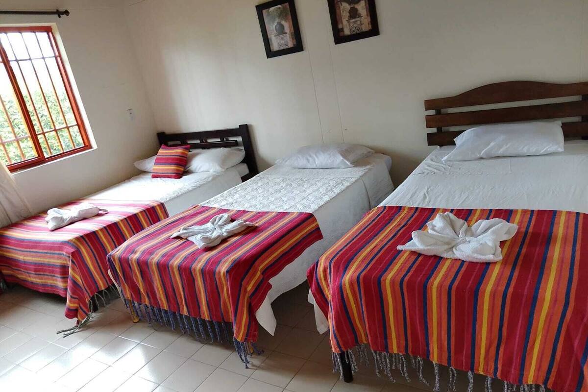 A hotel room with three beds, each with a striped bedspread and white pillows. There is a window with bars, and two framed pictures on the wall.
