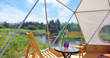 Cúpula de castor en Cabot Shores Wilderness Resort