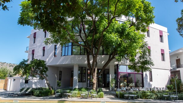 Un edificio moderno con piscina, zona de estar al aire libre y un gran árbol en primer plano.