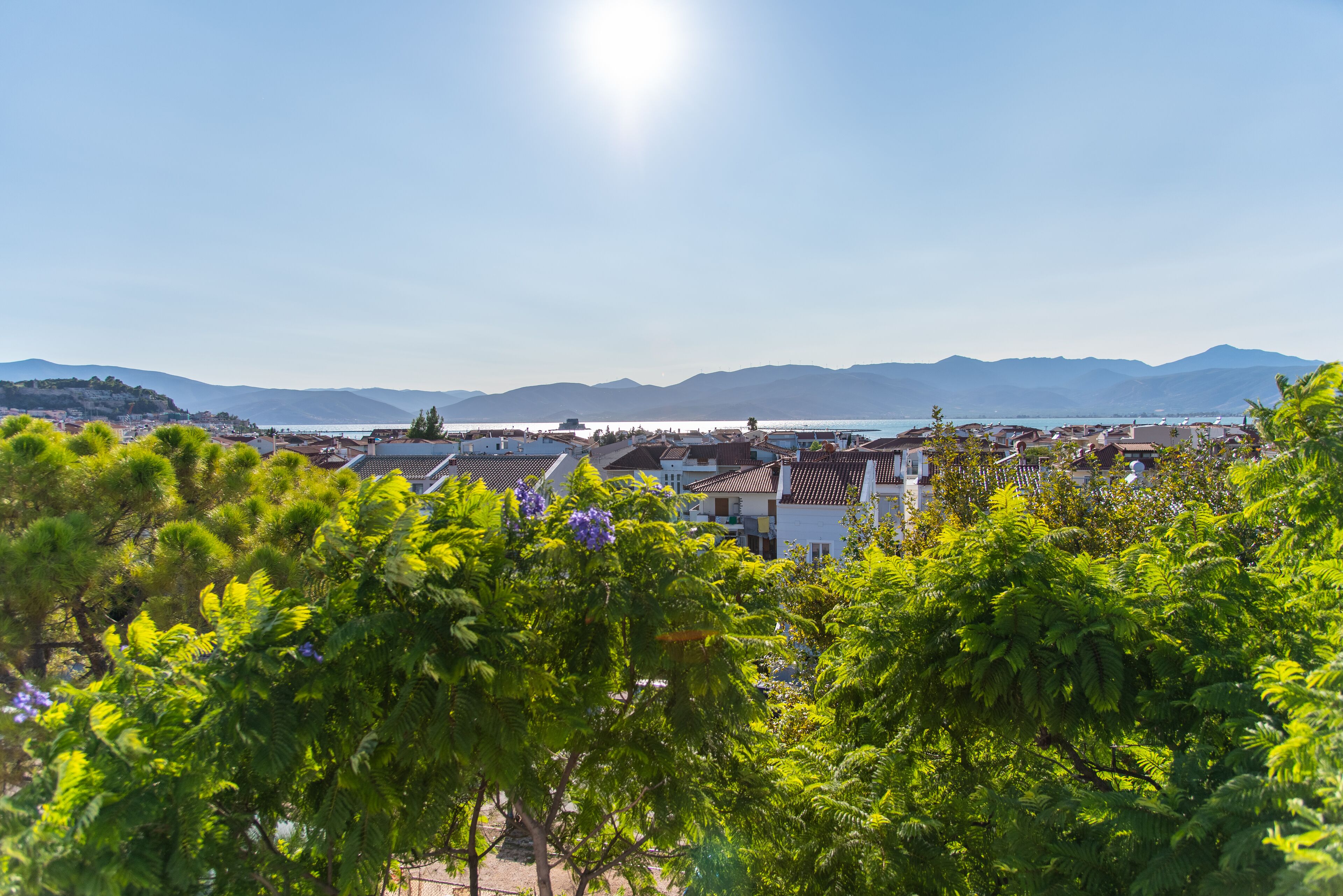 basic studio suite, pool view | garden view