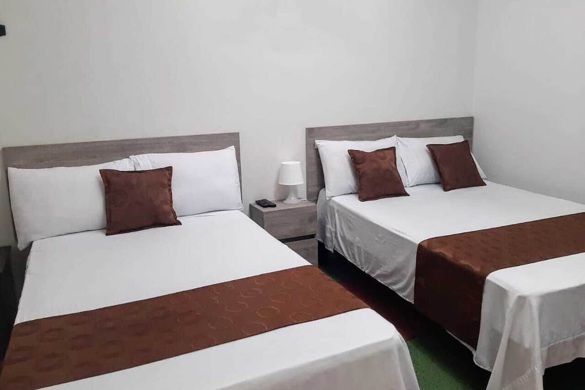 Two single beds with white linens and brown headboards, a bedside table with a lamp, and a wall-mounted telephone.