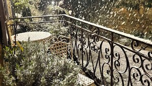 Ein Balkon mit schmiedeeisernem Geländer, einem kleinen runden Tisch und Topfpflanzen.