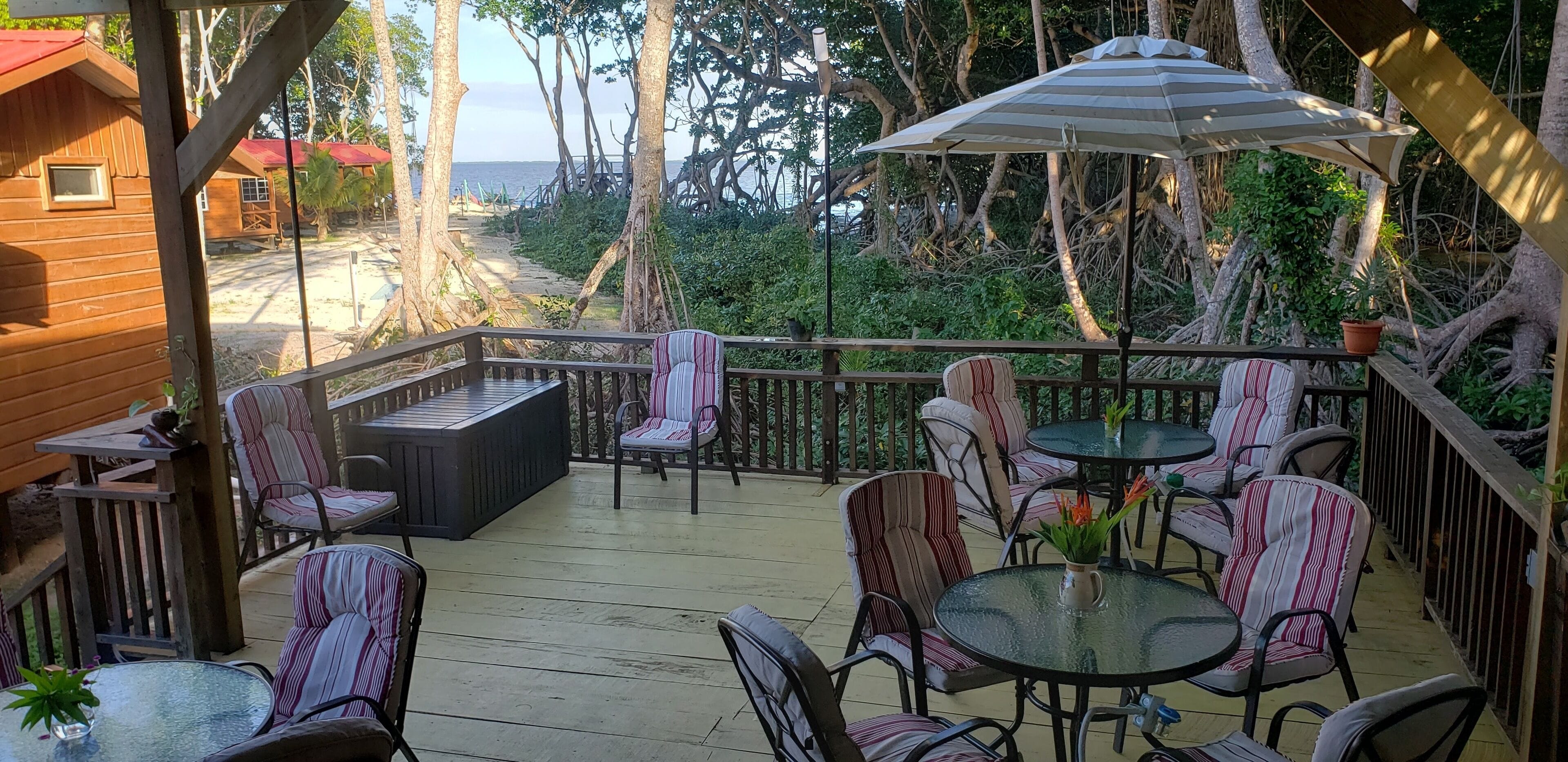 Internationale gerechten, uitzicht op het zwembad 