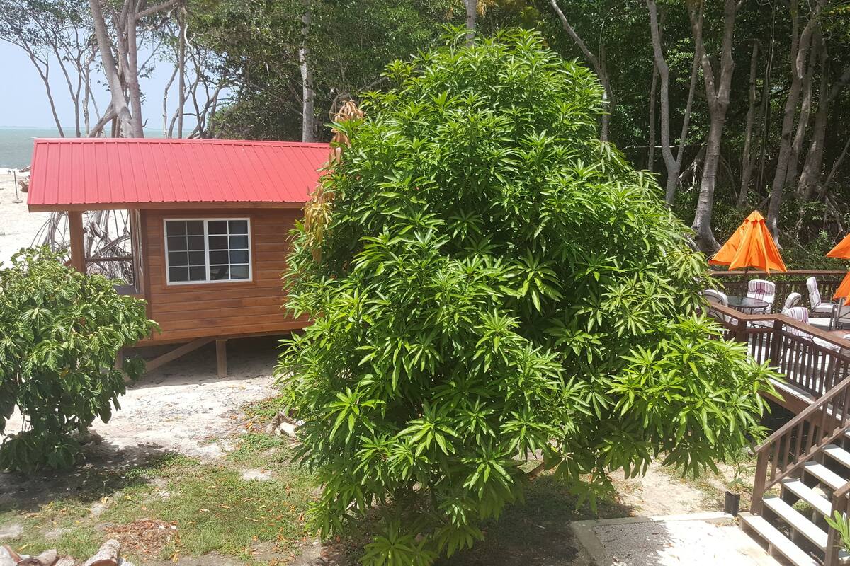 Una cabaña de madera con techo rojo, rodeada de abundante vegetación y una terraza de madera con mobiliario exterior.