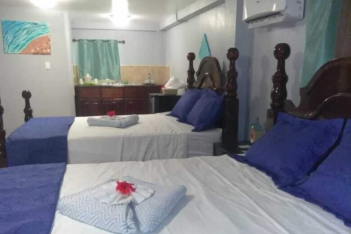 Una habitación de hotel con dos camas individuales, cabecera de madera, un escritorio pequeño y aire acondicionado de pared.