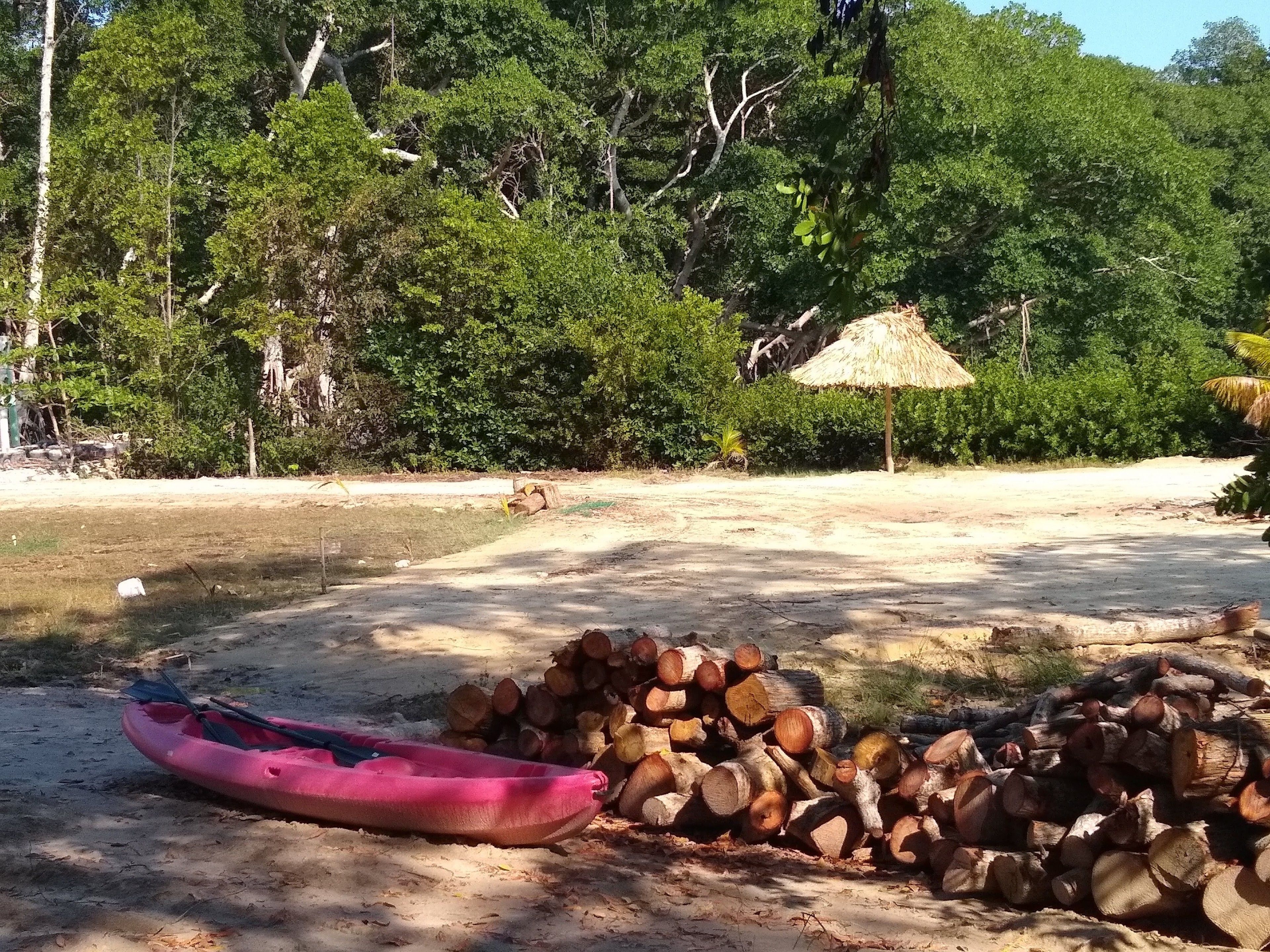 Una platja sorrenca amb un para-sol de palla, un caiac rosa i una pila de llenya.