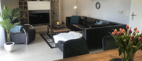 TV, books, stereo