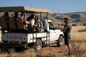 Game drive - Duwisib Guestfarm (Maltahohe)