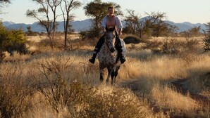 Una persona monta un caballo con manchas en un campo seco y lleno de hierba, con pocos árboles y montañas a lo lejos.