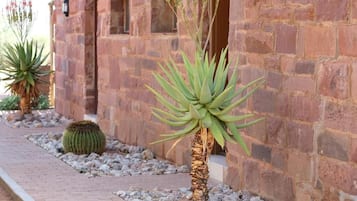 Un sendero bordeado de cactus y un edificio de piedra con ventanas.