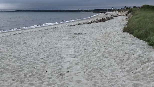 Una playa arenosa con un sendero de hierba que lleva al agua.