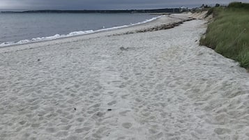 Sun loungers, beach towels