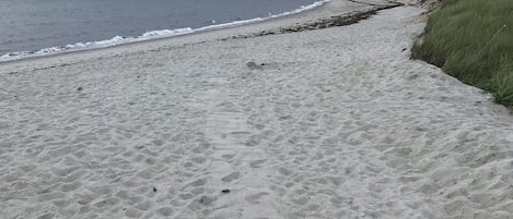 Sun loungers, beach towels