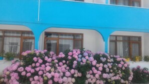 Un edificio con fachada azul y varias ventanas.