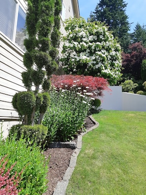 Property grounds - Welcome to Pinnacle Perch – Sunniest Spot in Sudden Valley’s Most Desired Gate (Bellingham)