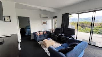 TV, DVD player, books, video library