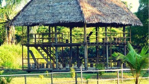 A thatched-roof structure with a wooden balcony, surrounded by lush greenery. - Intillama Jungle Lodge (Fernando Lores)