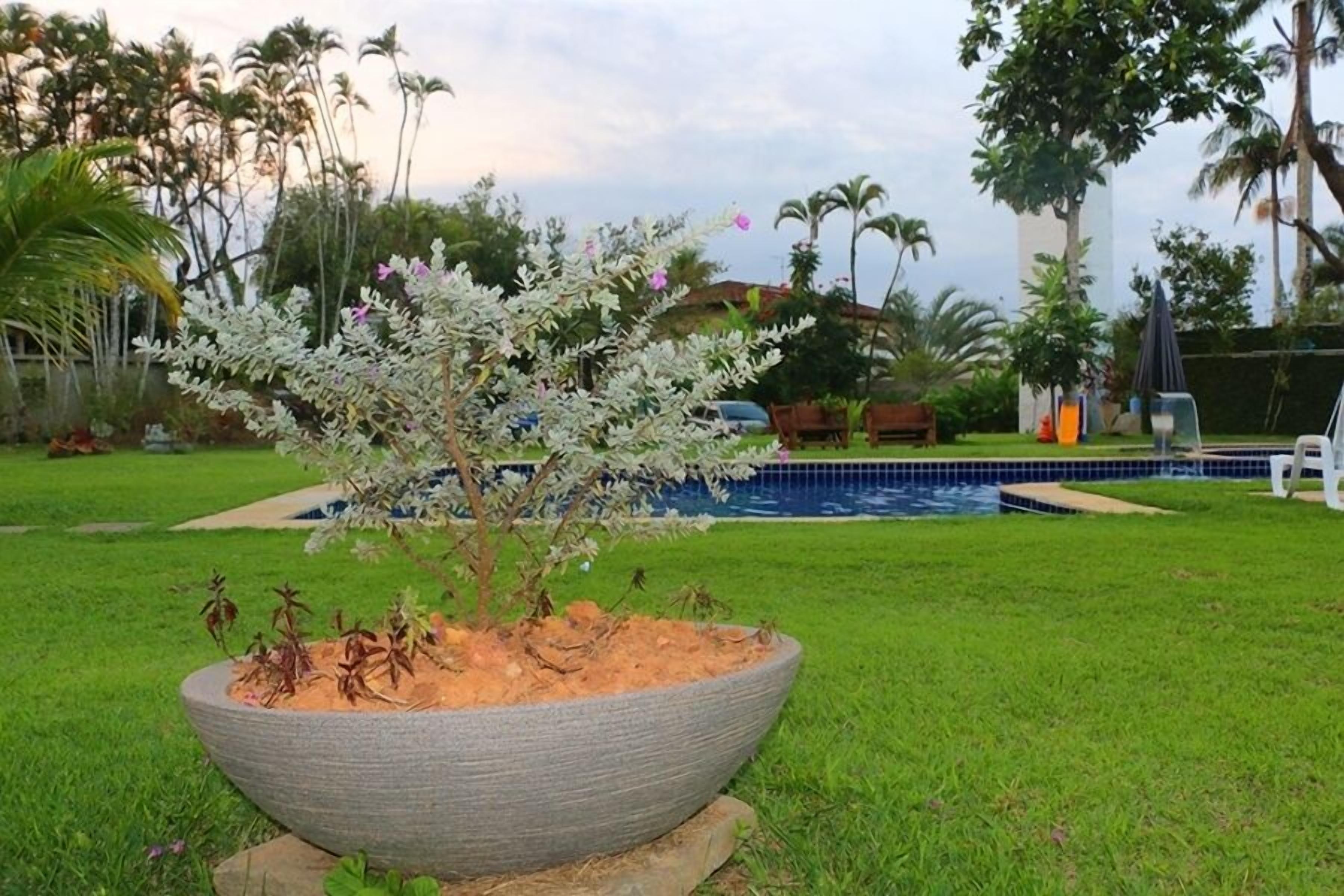 Un jardín con una jardinera grande, una piscina y palmeras.