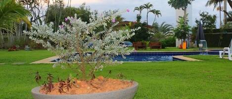 Un jardín con una jardinera grande, una piscina y palmeras.