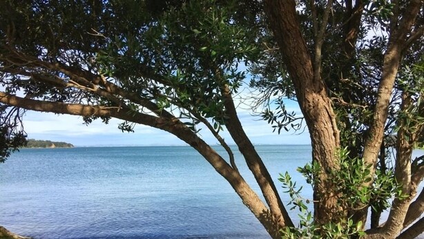 A tree-lined view of a calm body of water with a distant shoreline. - Modern, large, open plan 1 bedroom apartment (Surfdale)