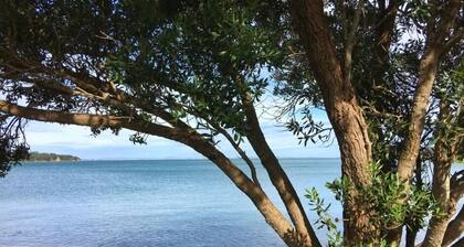 Modern, large, open plan 1 bedroom apartment