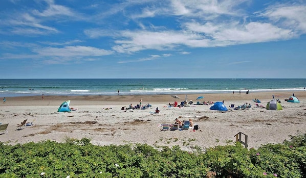 Sun-loungers, beach towels