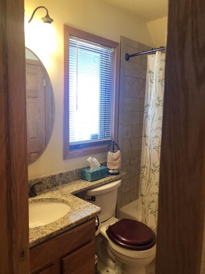 Combined shower/bathtub, hair dryer, towels, soap