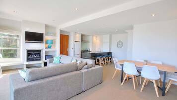 TV, fireplace, Netflix, streaming services