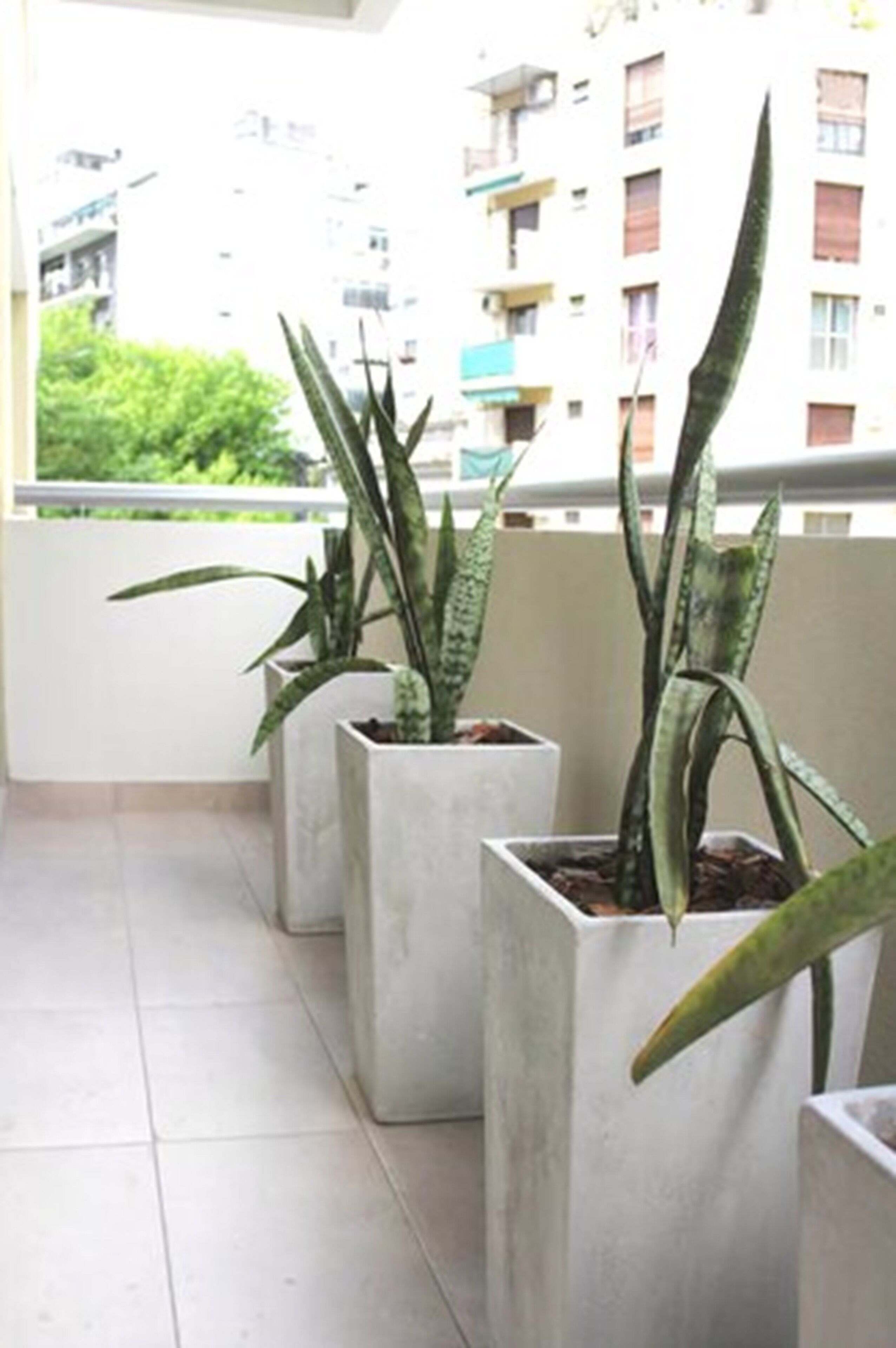 A balcony with three potted plants.