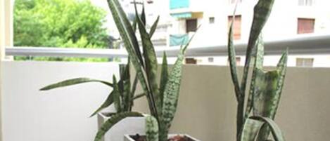 A balcony with three potted plants.