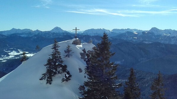 Unclassified image, 1 of 30, button