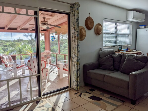 Smart TV, DVD player, books, video library