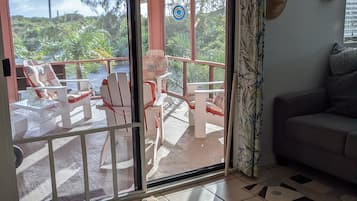 Smart TV, reproductor de DVD, libros y videoteca