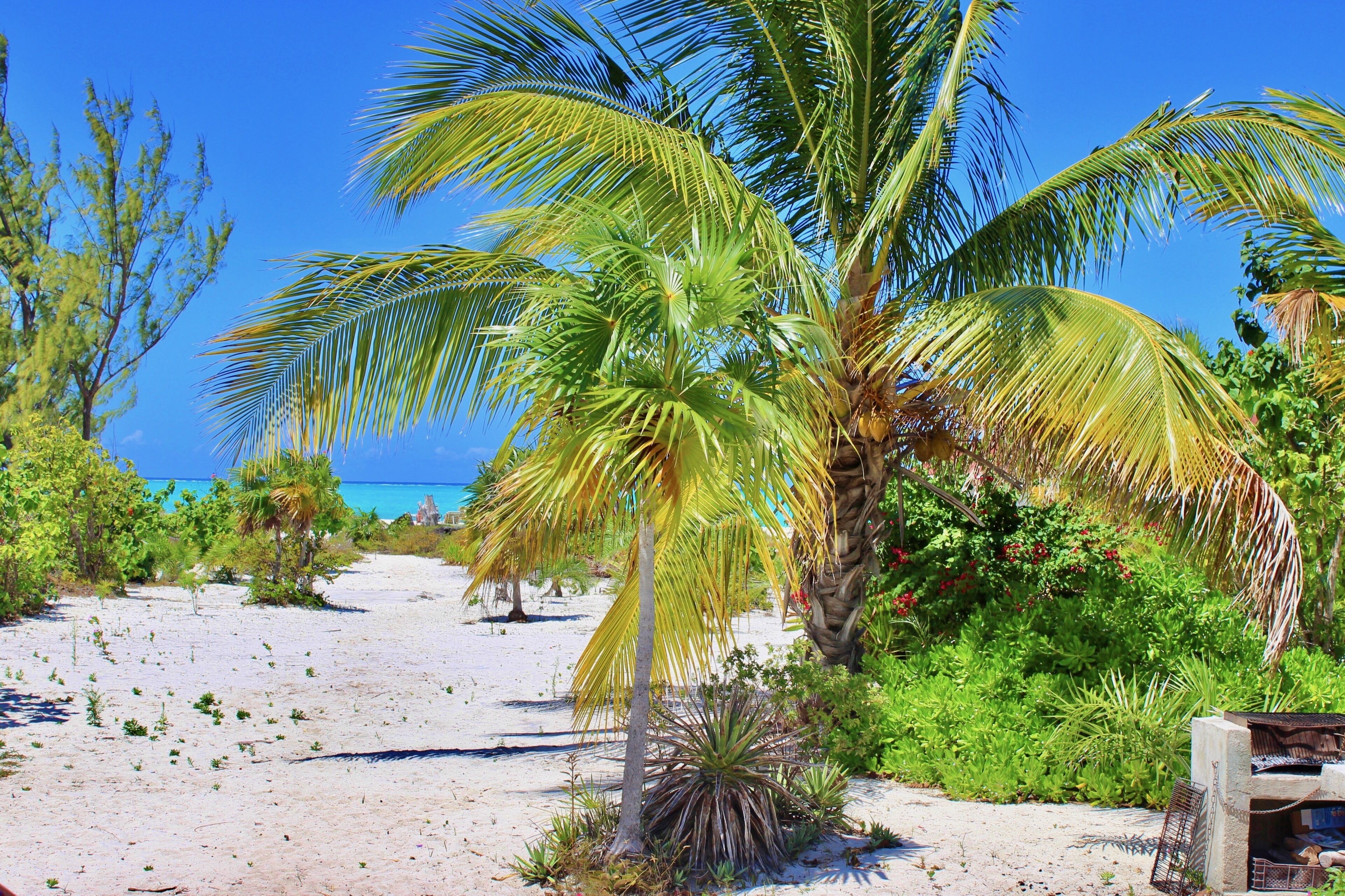 Plage, chaises longues, serviettes de plage