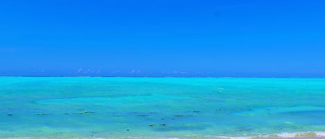 On the beach, sun-loungers, beach towels