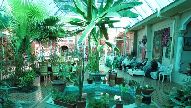 Un jardín interior amplio con diversos maceteros y una fuente central.