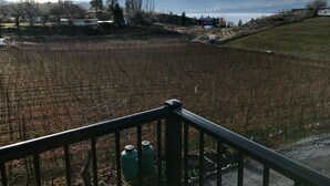 A vineyard with a view of mountains and a lake. - Wesbert Winery & Guest Suites (Penticton)